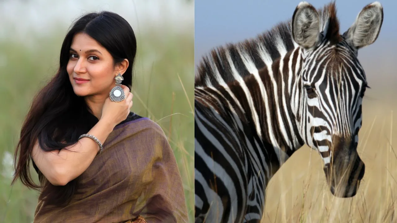 Mithila is chilling with African zebras