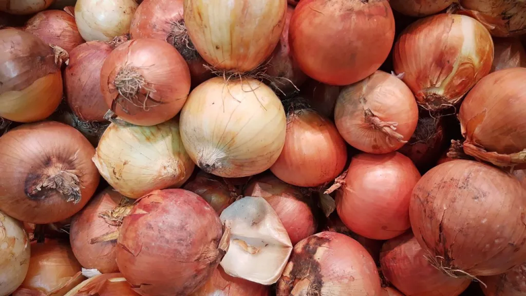Onion has disappeared from Khagrachari market